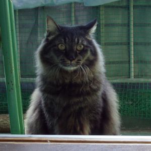 ���[�[�[�[�[�[�[��