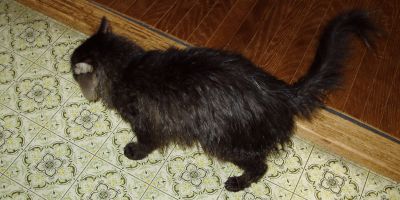 ������񂶂�[