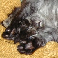 �Z�[�^�[�̏��