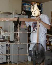 q̒֔L
