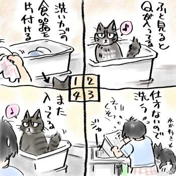 ށ[