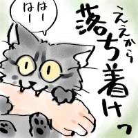 J~J~Q