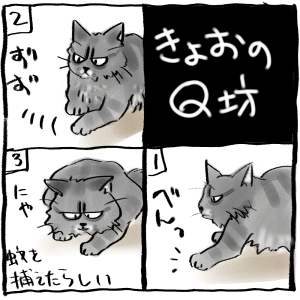 傤QV