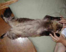 ��������