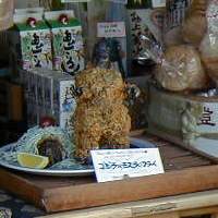 �S�W���΃��X��