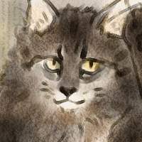 ������Q�V