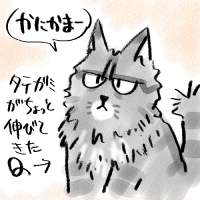 ���ɂ��ܗv��