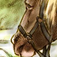 ����܂���