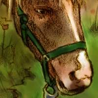 �т�����[