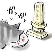 �o�`������