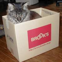 �n�R�K�X�L�[