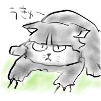 ���˃L���C�[