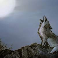 ���ɖi����