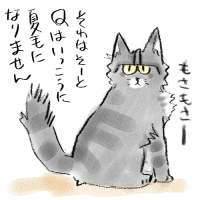 ���т��������[