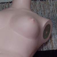 ���q�l�֎~