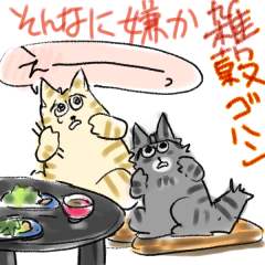 �G���S�n��1